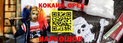 стаф Шахты