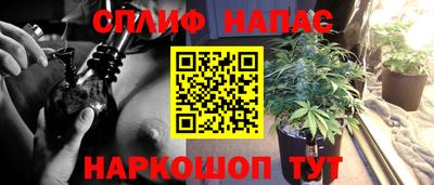 кокс Шелехов